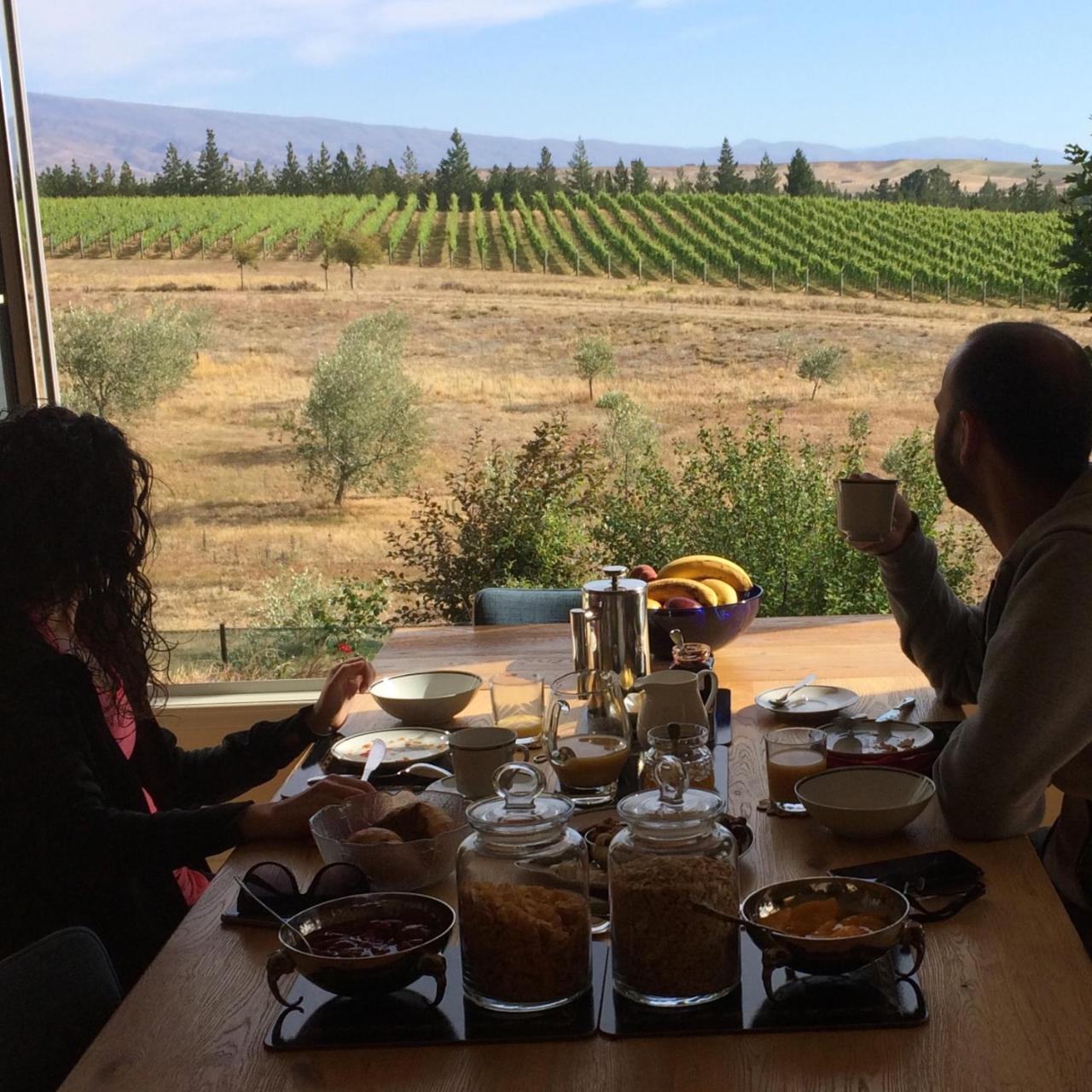 לינה וארוחת בוקר אלכסנדרה Grey Ridge Vineyard Experience מראה חיצוני תמונה