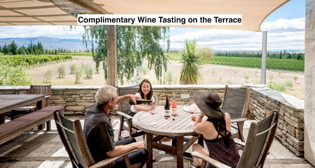 לינה וארוחת בוקר אלכסנדרה Grey Ridge Vineyard Experience מראה חיצוני תמונה