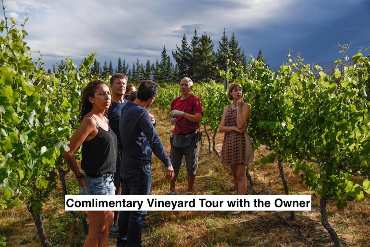 לינה וארוחת בוקר אלכסנדרה Grey Ridge Vineyard Experience מראה חיצוני תמונה
